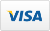 Visa credit card image